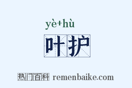 叶护是什么意思的图片